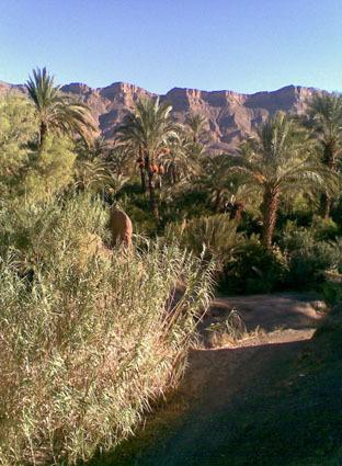 فندق أكدزفي  Kasbah Berbere Ouriz المظهر الخارجي الصورة